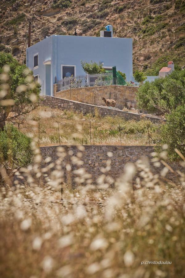 Potideon Villa Karpathos Extérieur photo